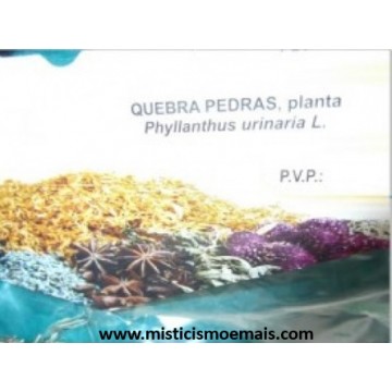 Quebra Pedras, Planta